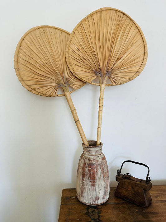 Palm Leaf Wall Fan - Set of 2 - TesuWall Decor