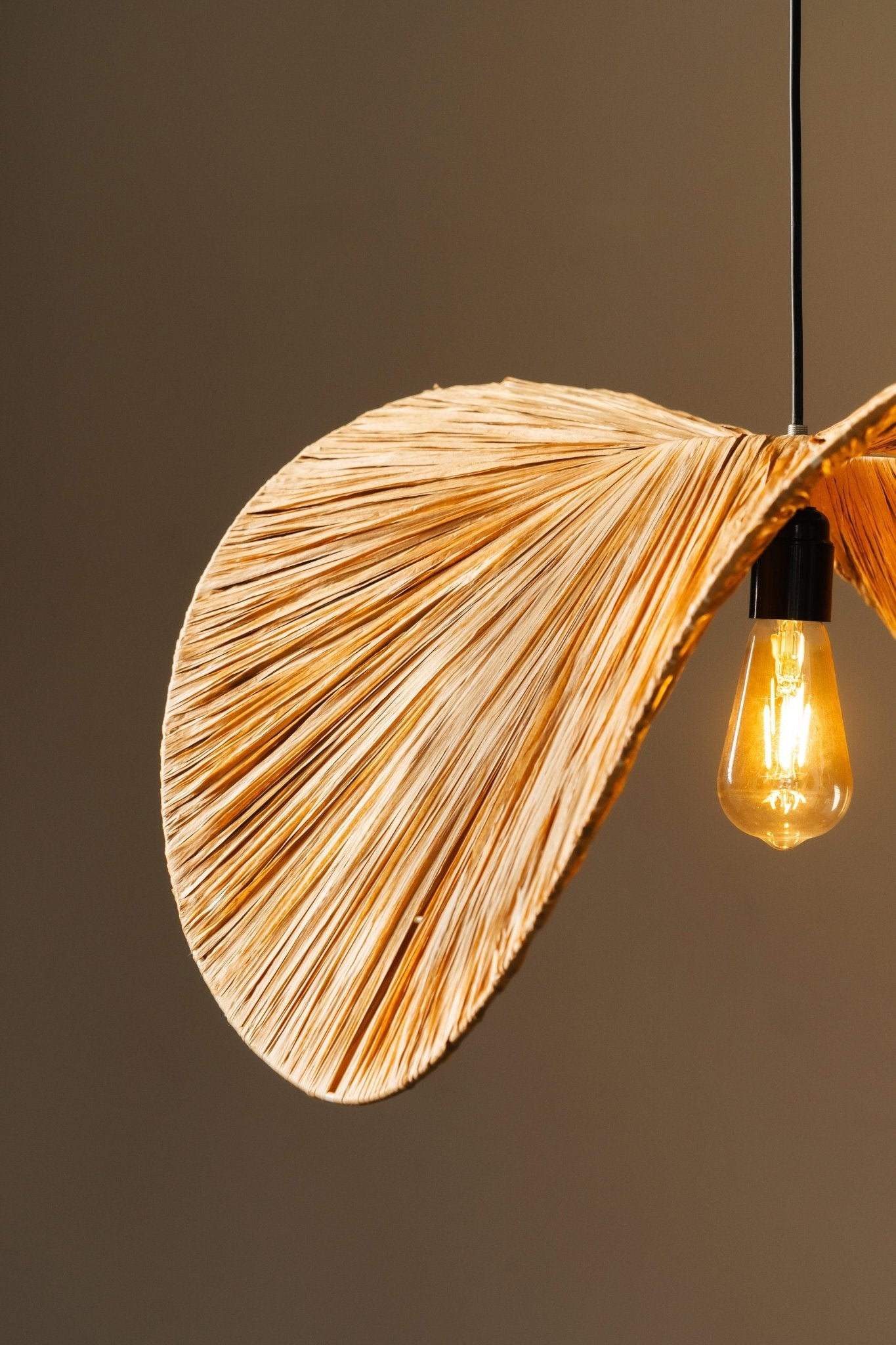 Decorative pendant light with leaf-shaped fixture and illuminated bulb against a dark background