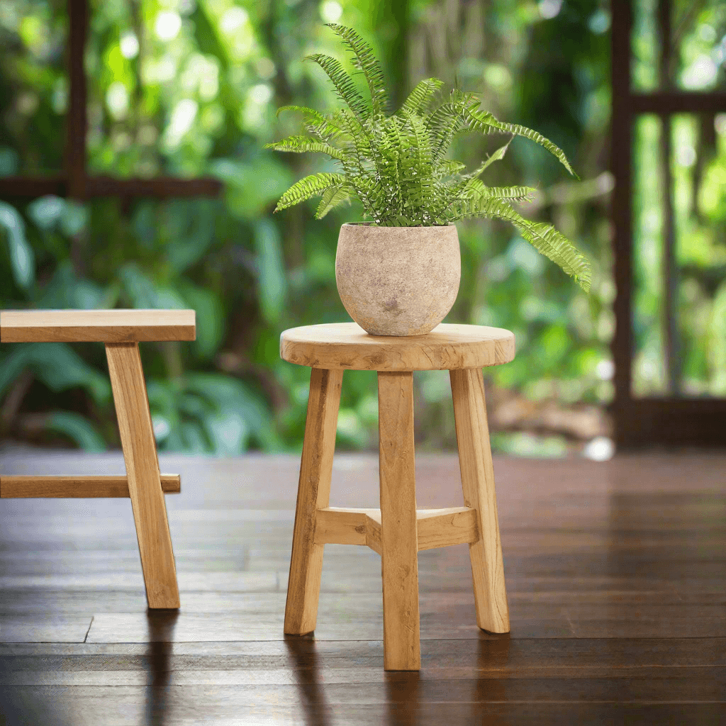 Fern plant in a pot on a wooden stool with a blurred green outdoor background
