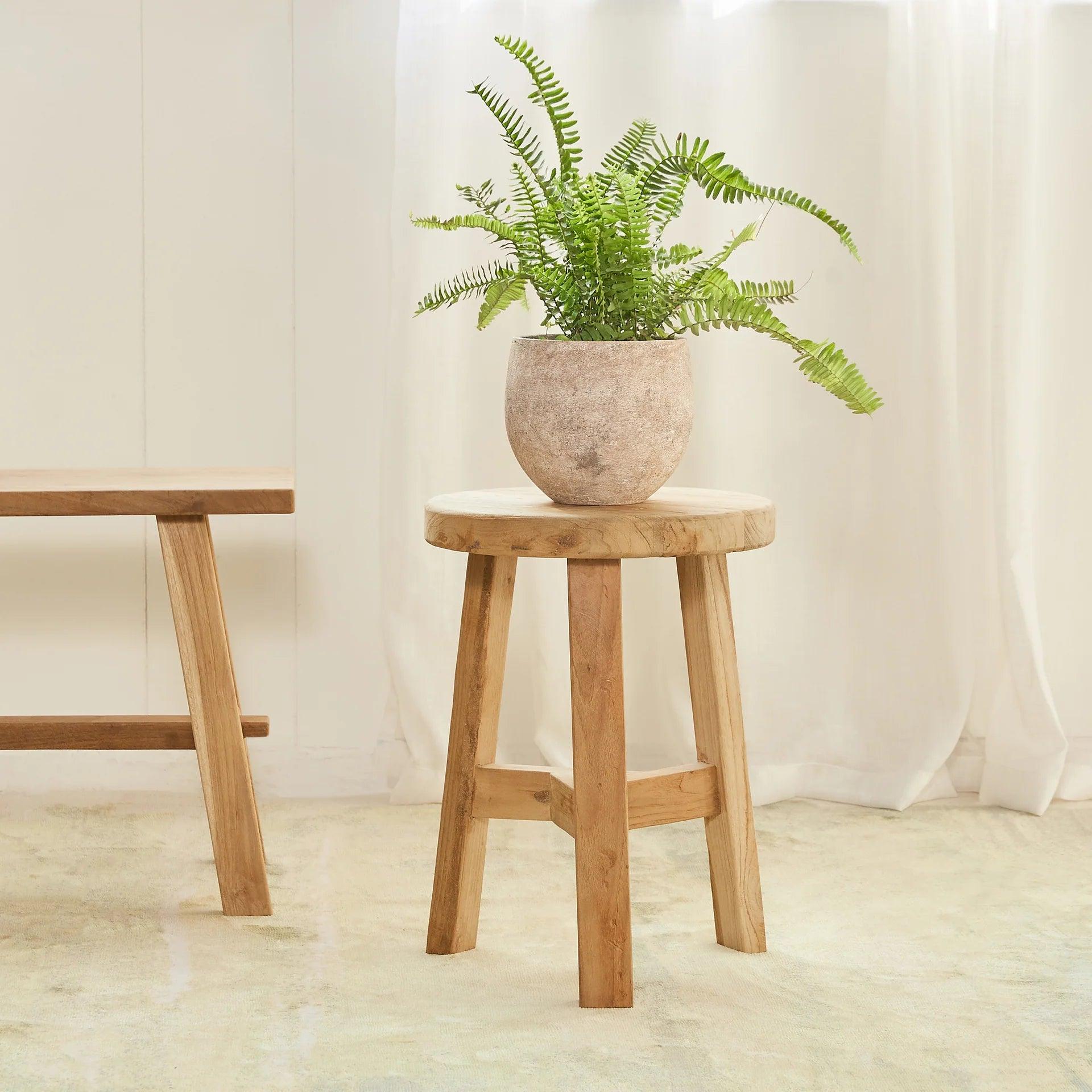 Wooden stool with a potted plant on a light wooden floor against a white curtain background