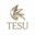 Tesu India logo
