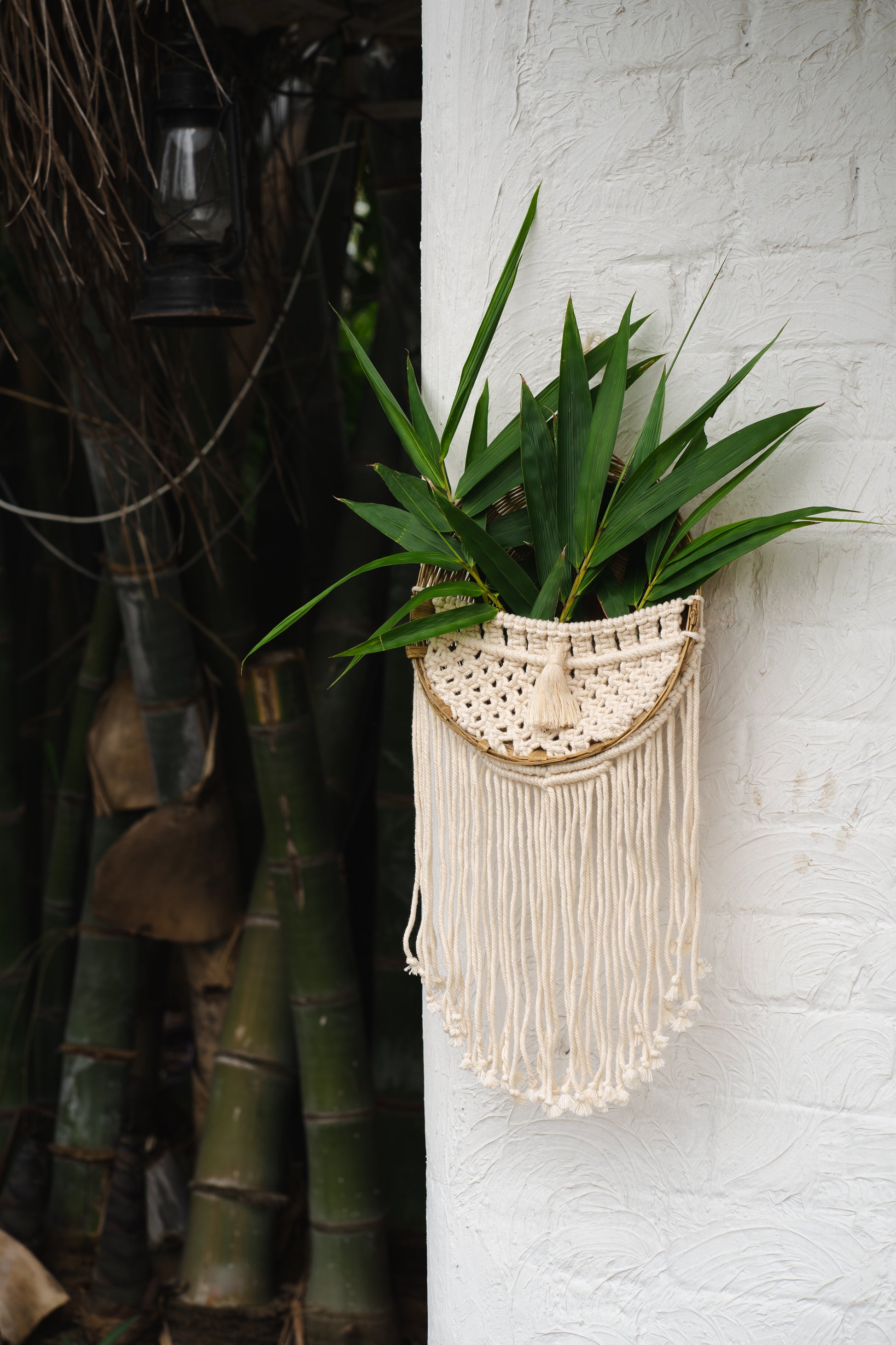  Bamboo basket Biodegradable cotton thread Classic interior style Contemporary look Easy installation Eco-friendly design Green gallery decor Handcrafted plant holder Indoor greenery decor Low maintenance Macramé plant holder Natural materials Nature-inspired decor Plant shelf Traditional decor Unique charm Versatile décor, tesu 