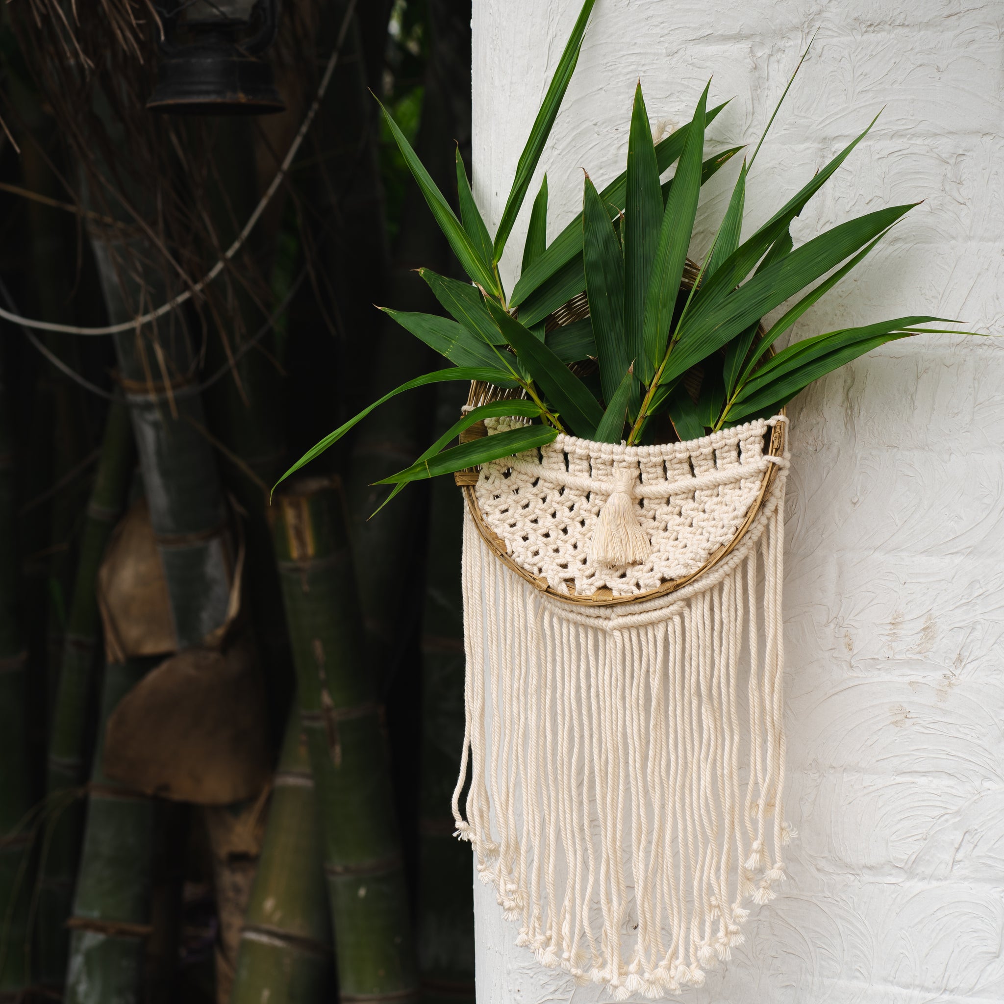 Begonia - Thread Hanging Planter with Bamboo Basket