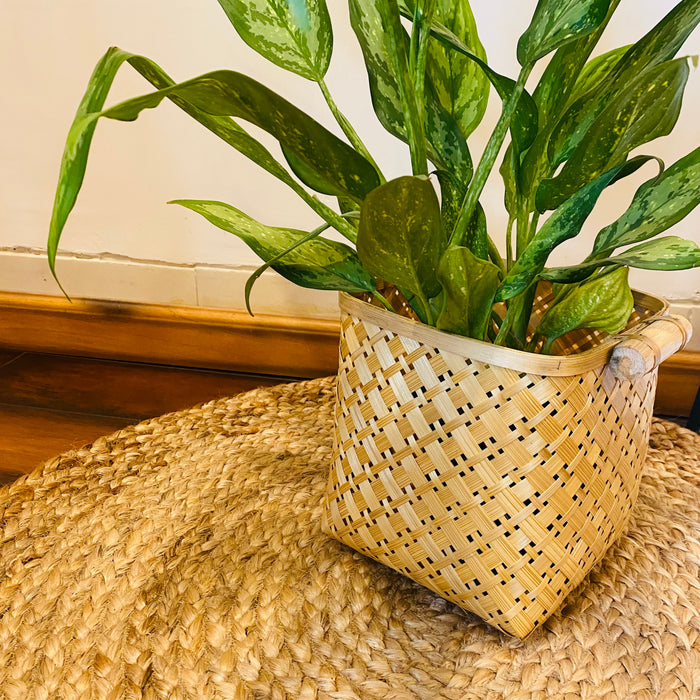 Woven Bamboo Planter with Side Holding