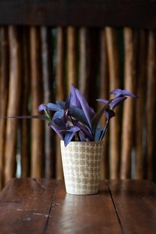 Hand Painted Ceramic Planters - TesuPlanter