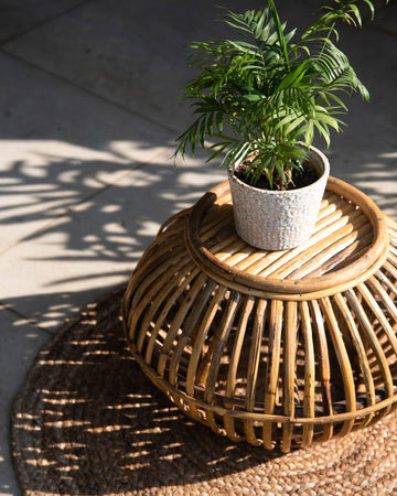 Potted plant on a woven wooden stool with sunlight casting shadows