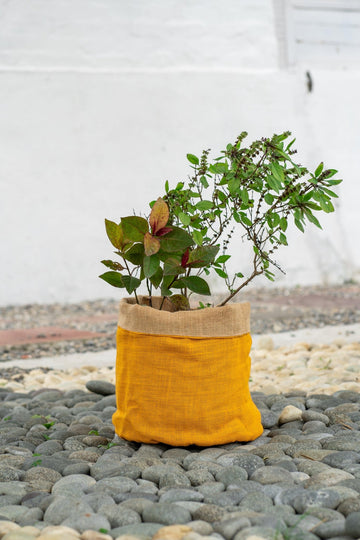 Jute Planter Bags - TesuPlanter