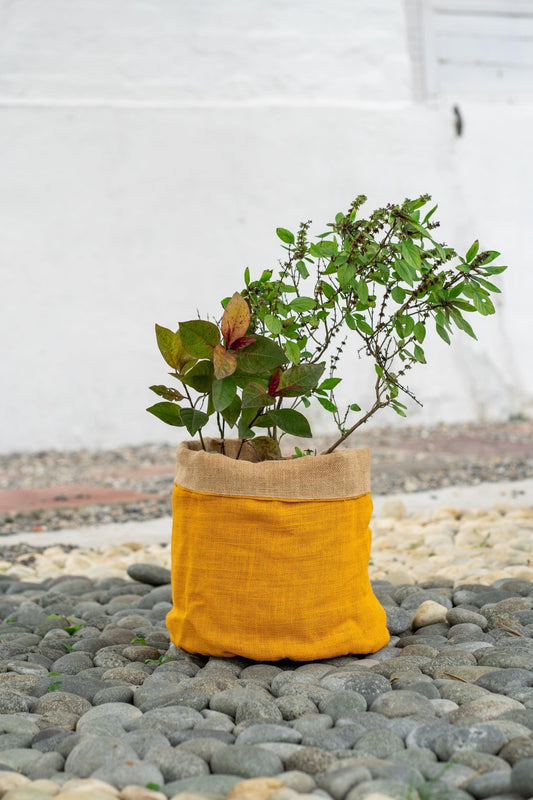 Jute Planter Bags - TesuPlanter