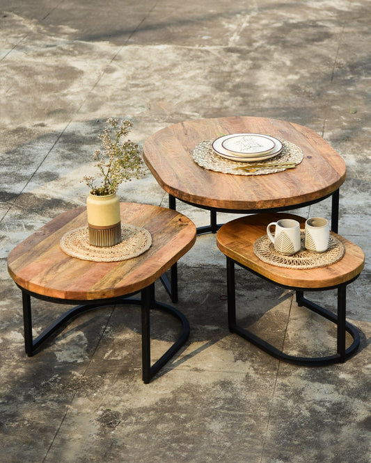 Mango Wood Nesting Table - Set of 3 - TesuTable