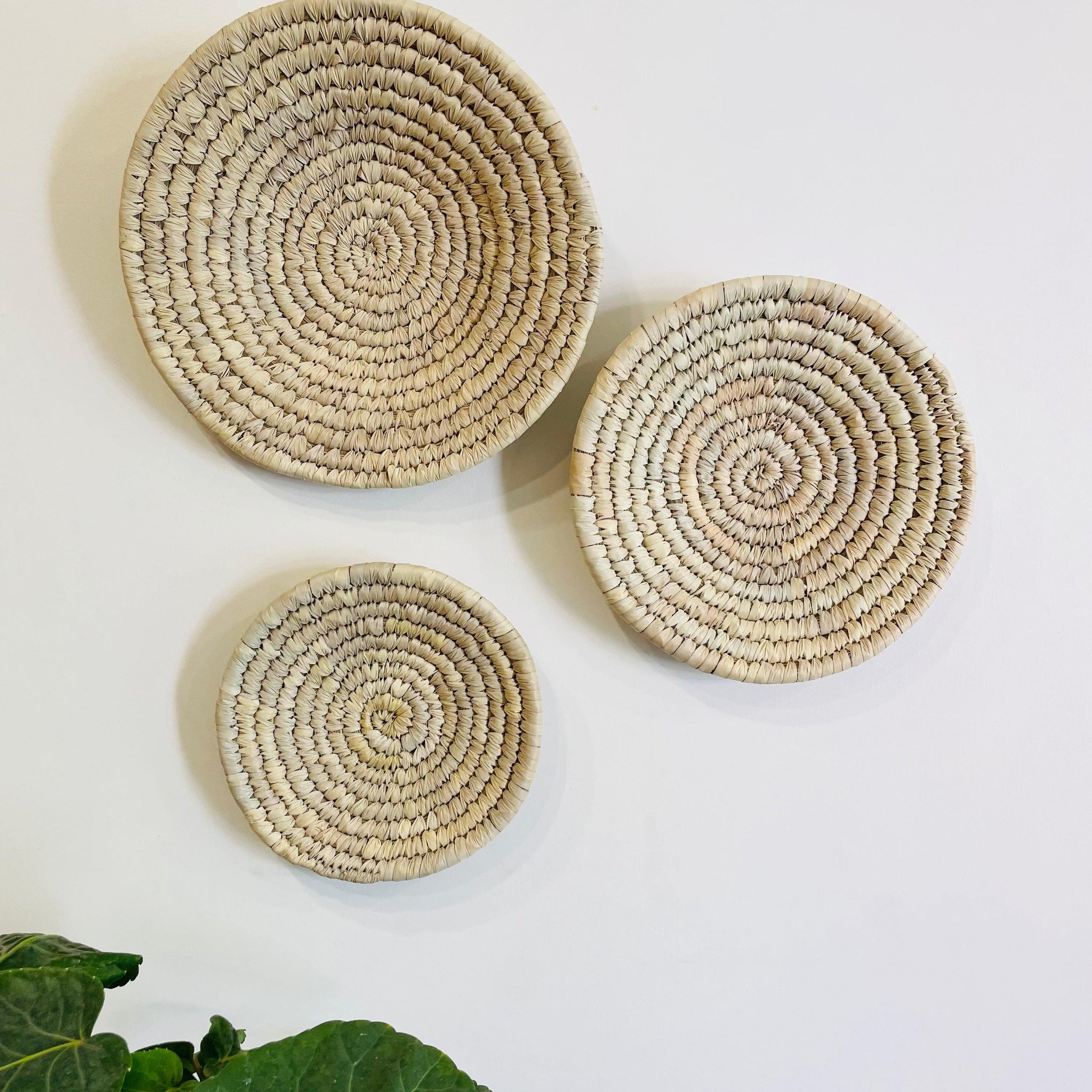 Palm Leaf Woven Plates - Natural Set of 3 - TESU