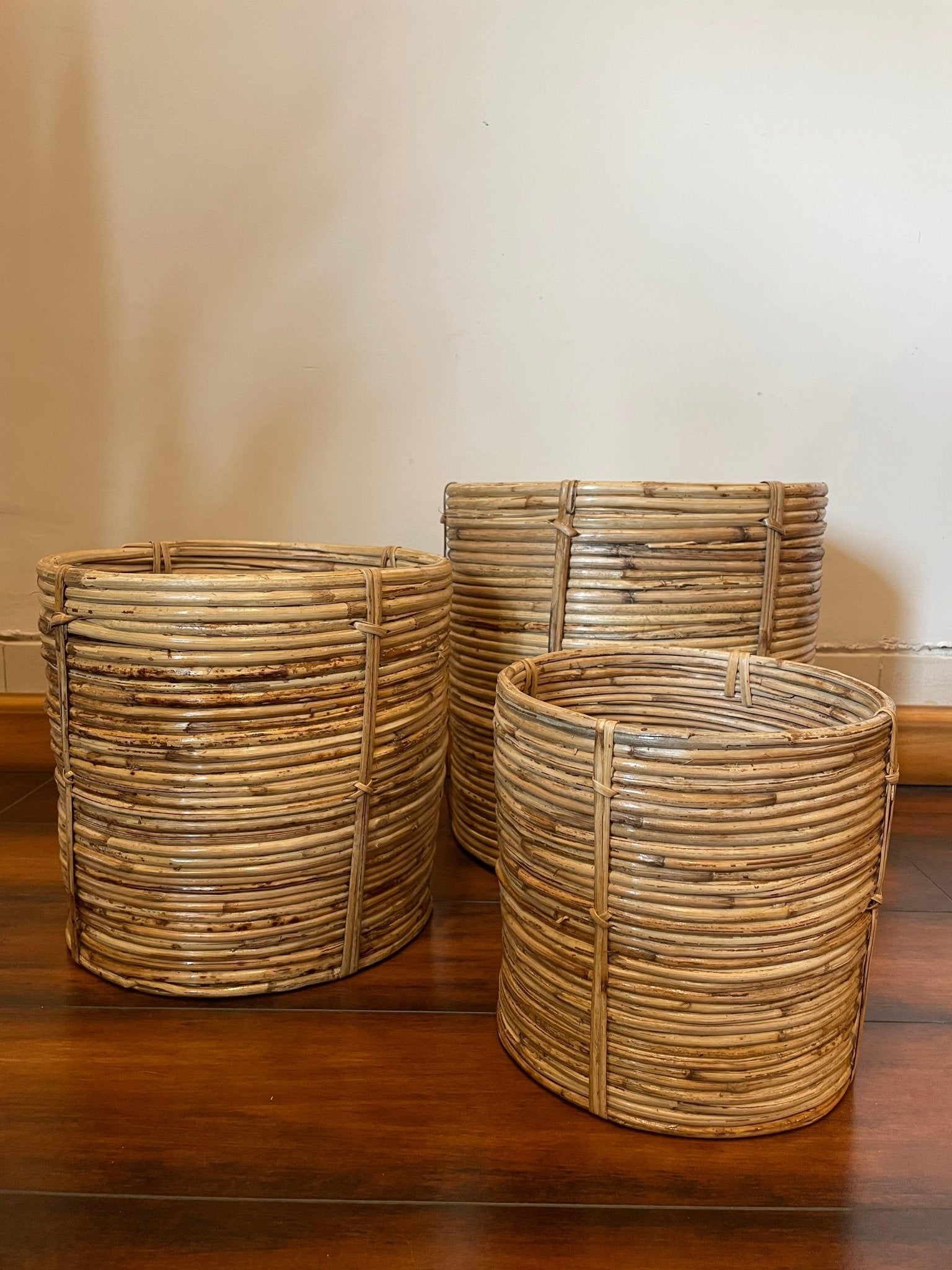 Spiral Designer Cane Planter - TesuPlanter